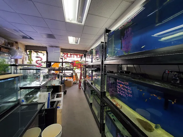 Aquatic Pets and Reptiles Picture 10