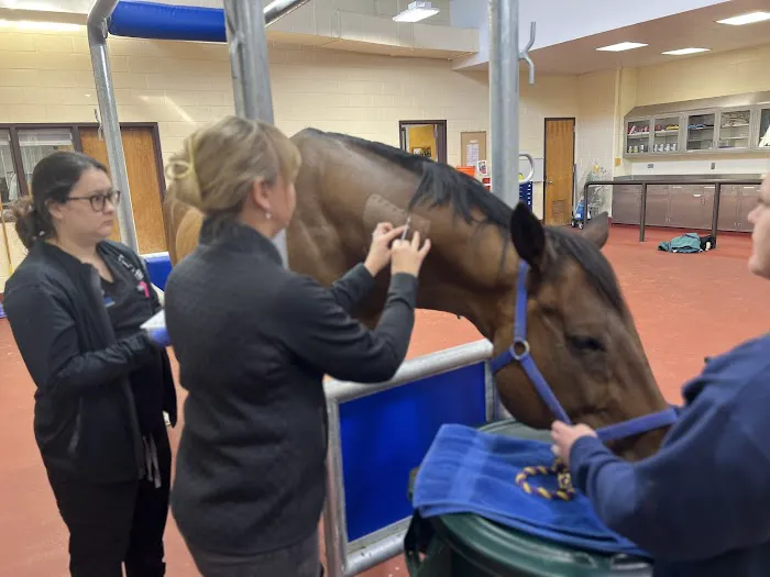 Mid-Atlantic Veterinary Dermatology Picture 1