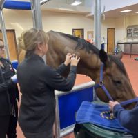Mid-Atlantic Veterinary Dermatology ico
