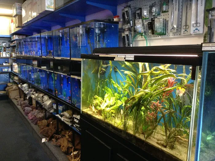 Seven Seas Aquarium Picture 4