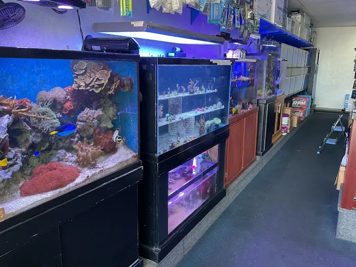Seven Seas Aquarium Picture 1