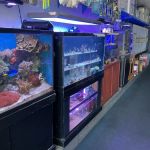Seven Seas Aquarium