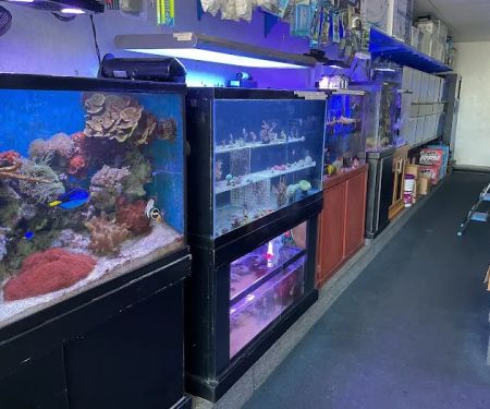 Seven Seas Aquarium