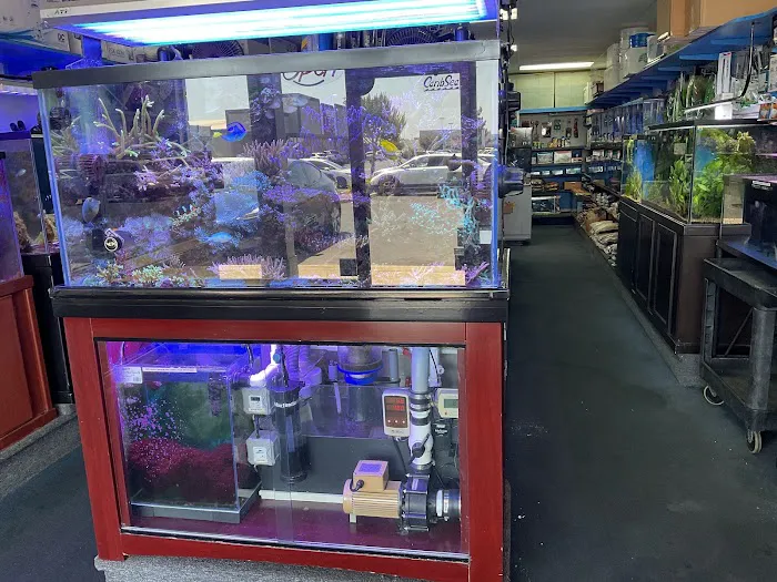 Seven Seas Aquarium Picture 2