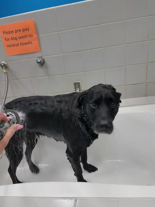 Pet Supplies Plus Clovis Picture 5