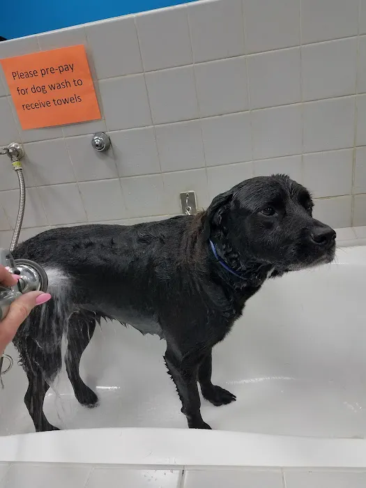 Pet Supplies Plus Clovis Picture 8