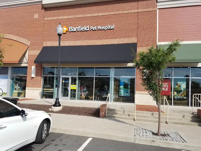 Banfield Pet Hospital Picture 4