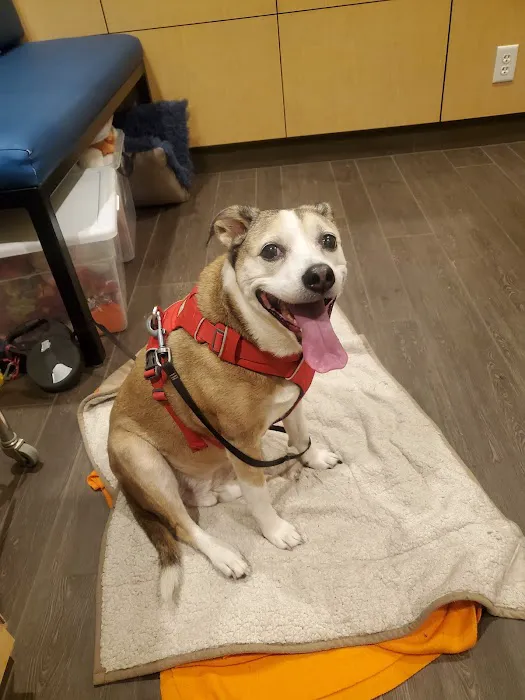 Banfield Pet Hospital Picture 7