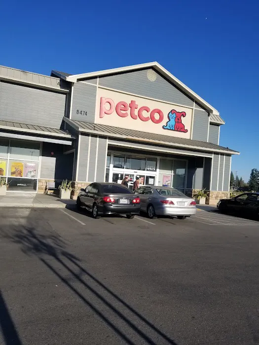 Petco Picture 7