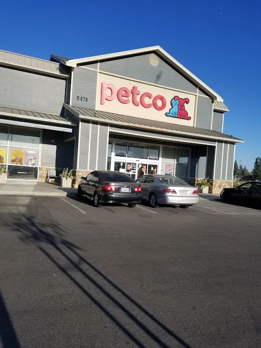 Petco Picture 6