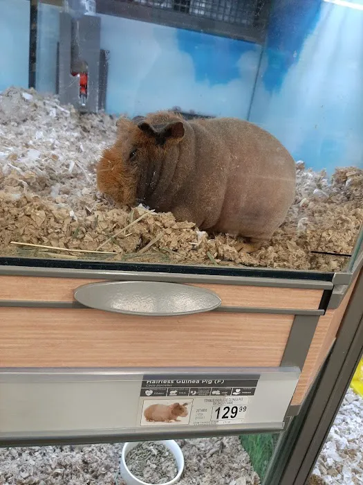 Petco Picture 3