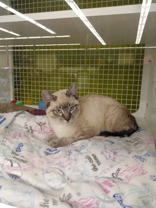 Petco Picture 8