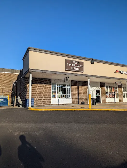 Burke Veterinary Clinic Picture 10