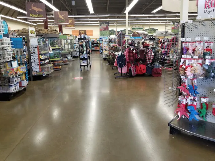 Petco Picture 7