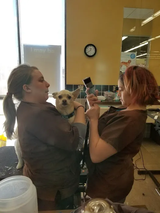 Petco Picture 8