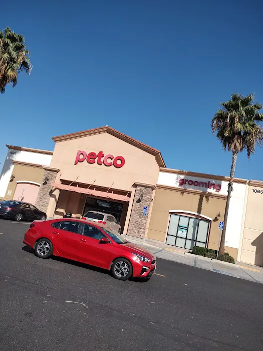 Petco Picture 3