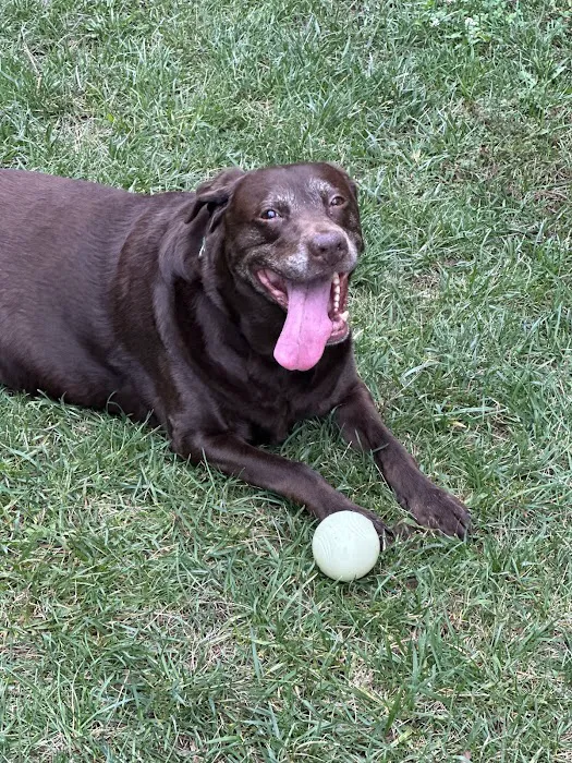 Burke Animal Clinic Picture 3