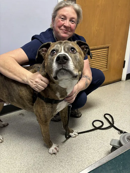 Burke Animal Clinic Picture 9
