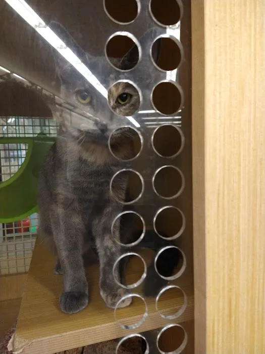 Petco Picture 3