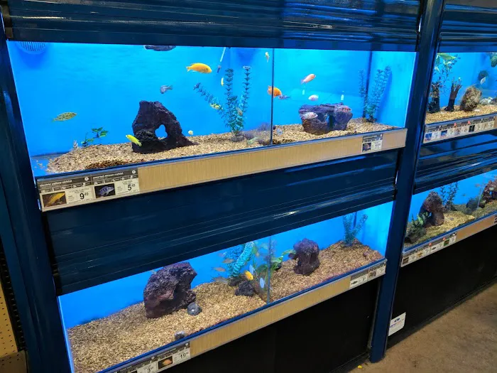 Petco Picture 9