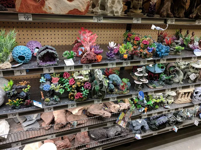 Petco Picture 10