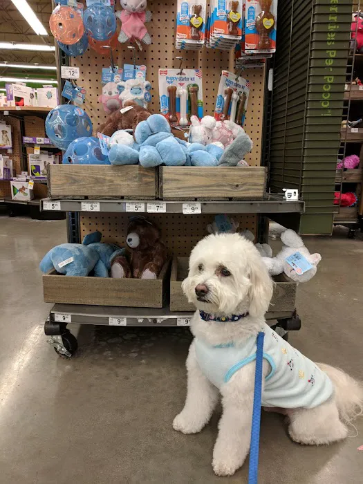 Petco Picture 5