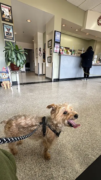 Village Veterinary Clinic Picture 8