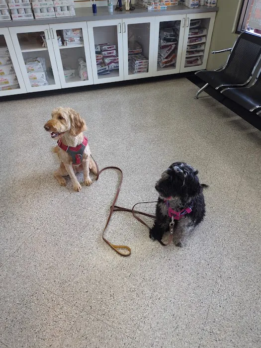 Village Veterinary Clinic Picture 10