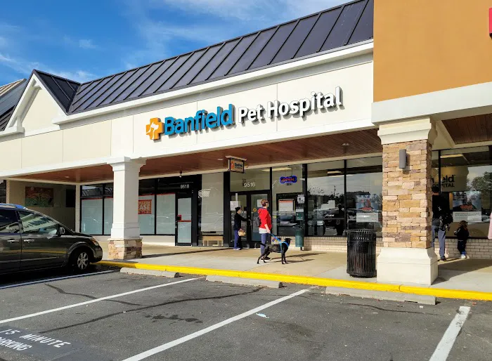 Banfield Pet Hospital Picture 7