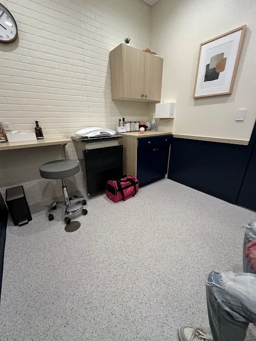 Bond Vet - Fairfax Picture 9