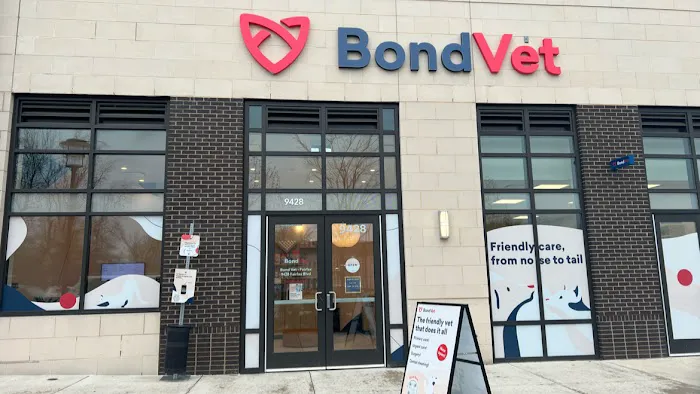 Bond Vet - Fairfax Picture 1