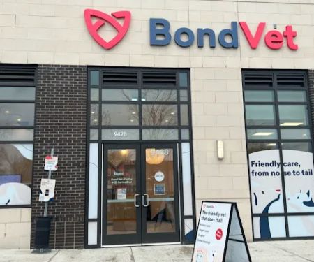Bond Vet - Fairfax