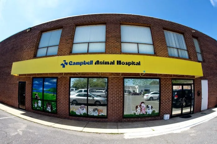 Campbell Animal Hospital Picture 8