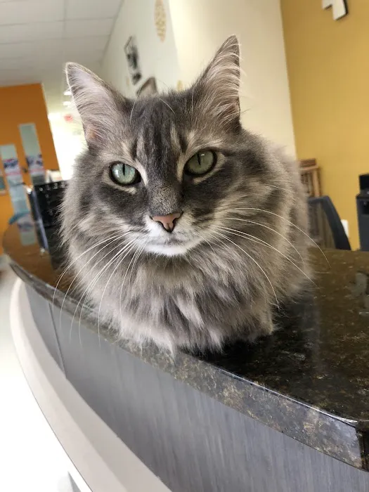 Campbell Animal Hospital Picture 9