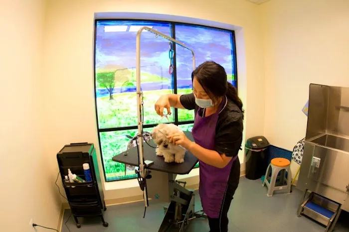 Campbell Animal Hospital Picture 10