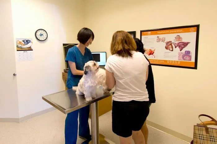 Campbell Animal Hospital Picture 3