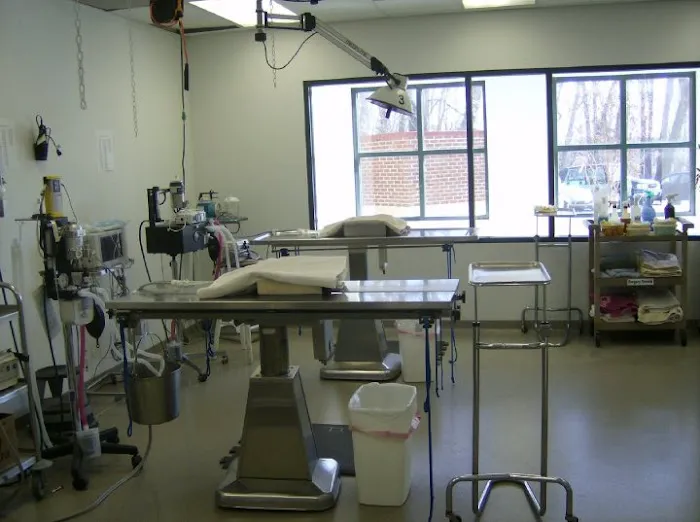 Town & Country Animal Hospital Picture 7