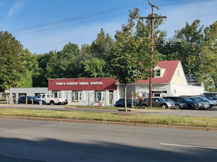 Town & Country Animal Hospital Picture 5