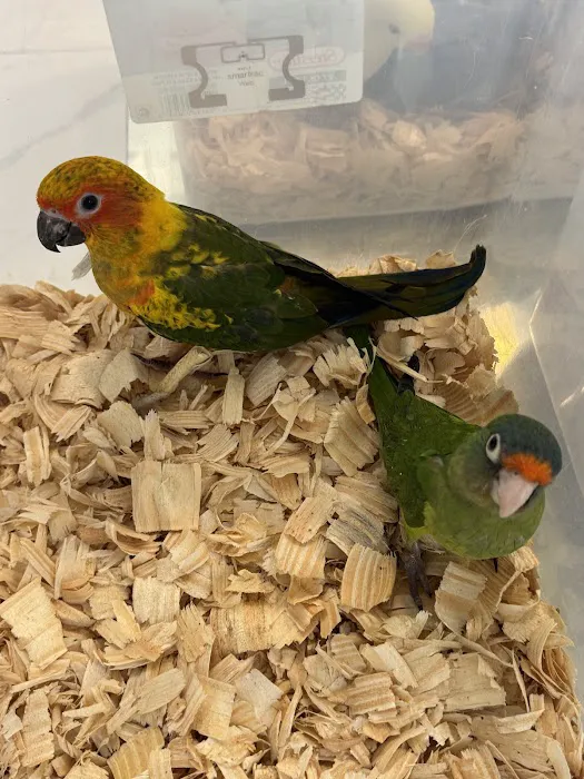 Zuri Palomas Pet Shop Picture 2