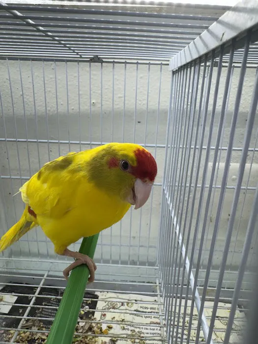 Zuri Palomas Pet Shop Picture 4