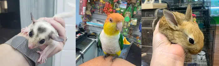 Zuri Palomas Pet Shop Picture 1