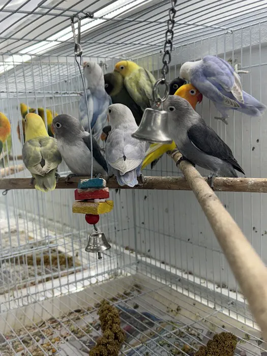 Zuri Palomas Pet Shop Picture 5