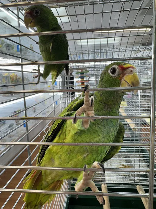 Zuri Palomas Pet Shop Picture 8