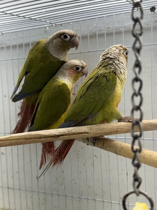 Zuri Palomas Pet Shop Picture 9