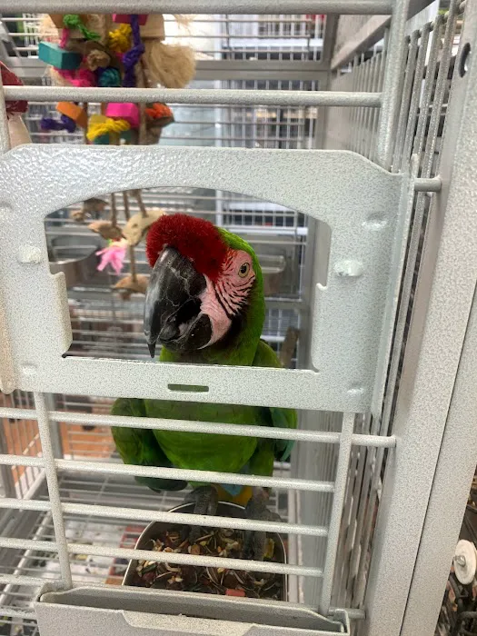 Zuri Palomas Pet Shop Picture 6