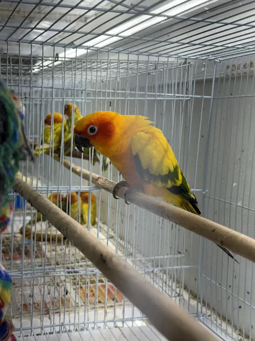 Zuri Palomas Pet Shop Picture 10