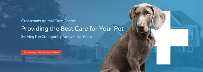 Crossroads Animal Care Center Picture 9