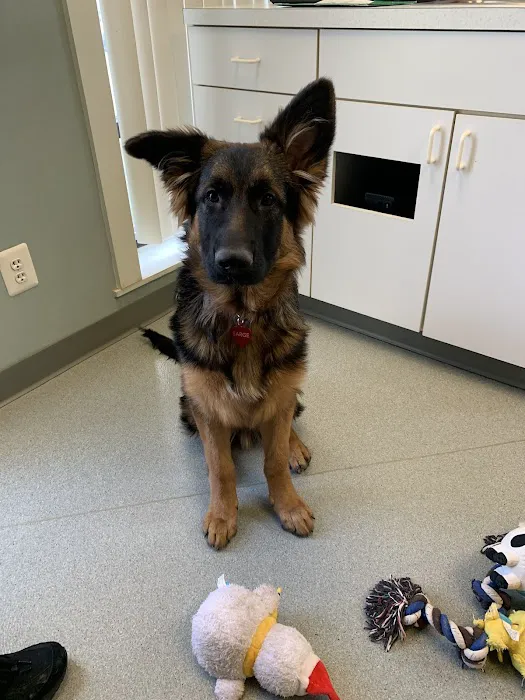 Crossroads Animal Care Center Picture 1