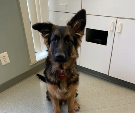 Crossroads Animal Care Center