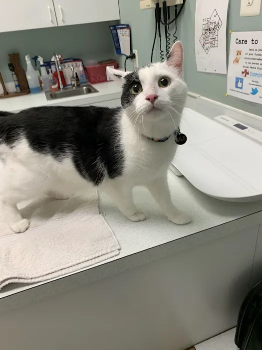 Crossroads Animal Care Center Picture 3